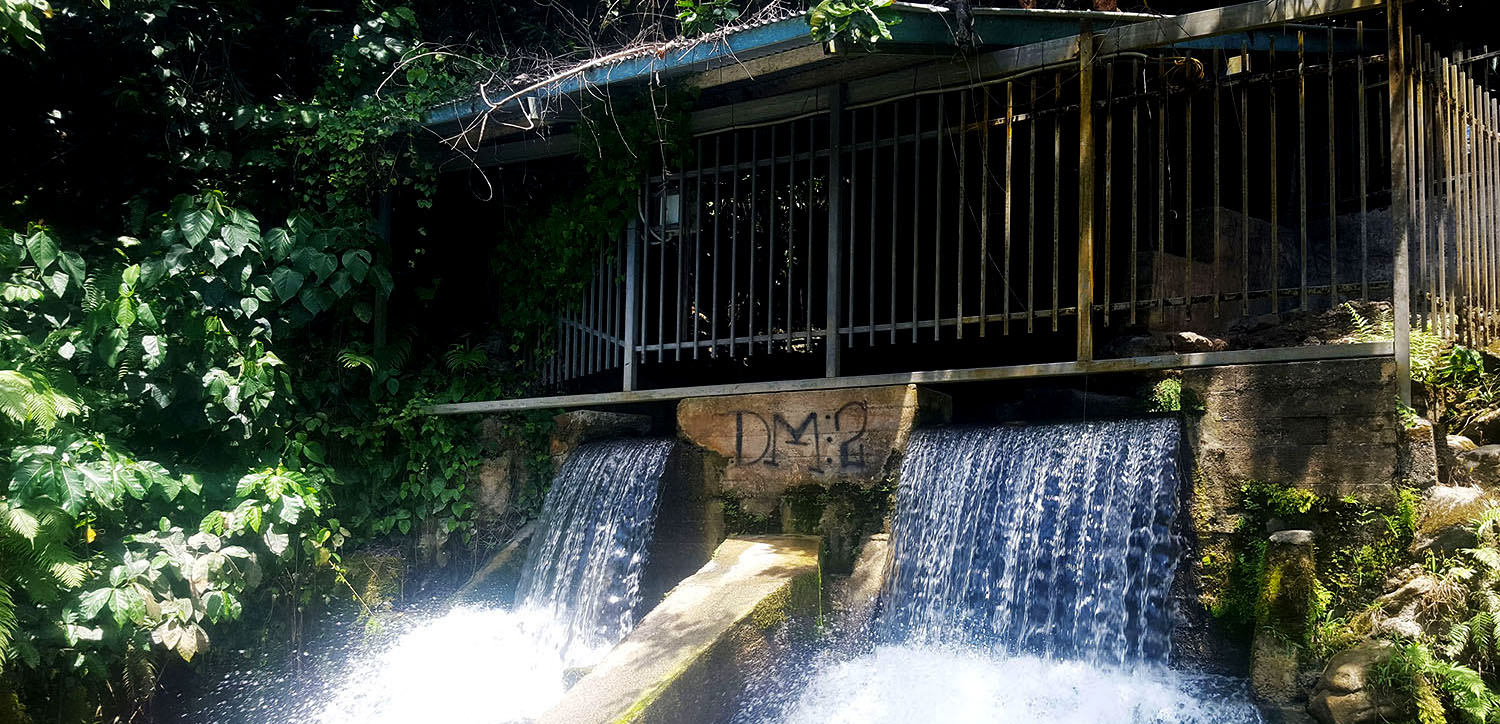 Solomon Water's Kongulai source.